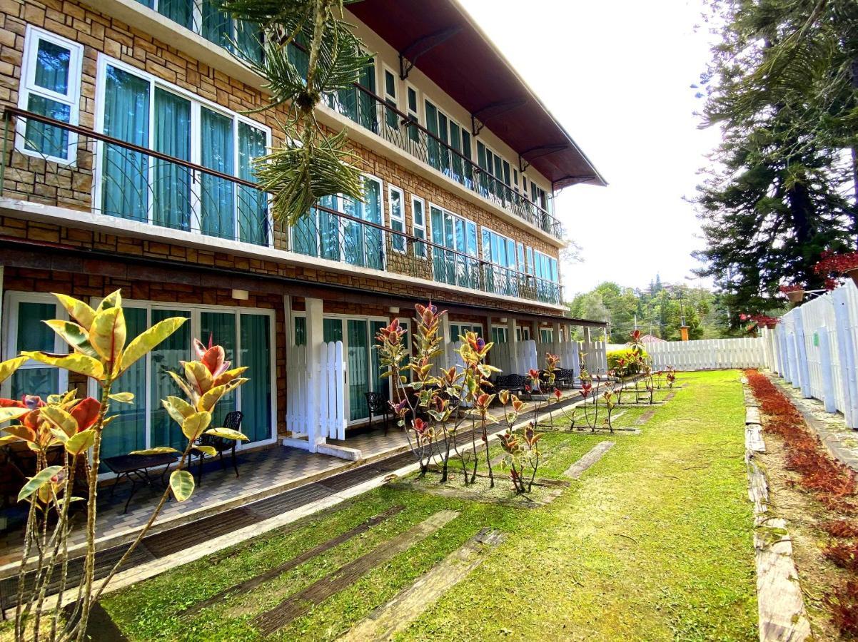 Century Pines